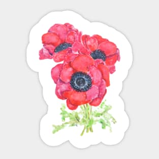 red anemones Sticker